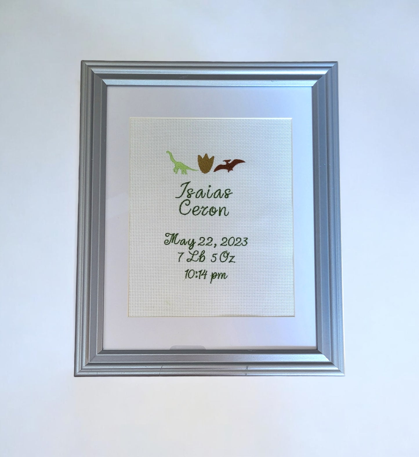 Dinosaurs Custom Embroidered Birth Announcement - Wall Art