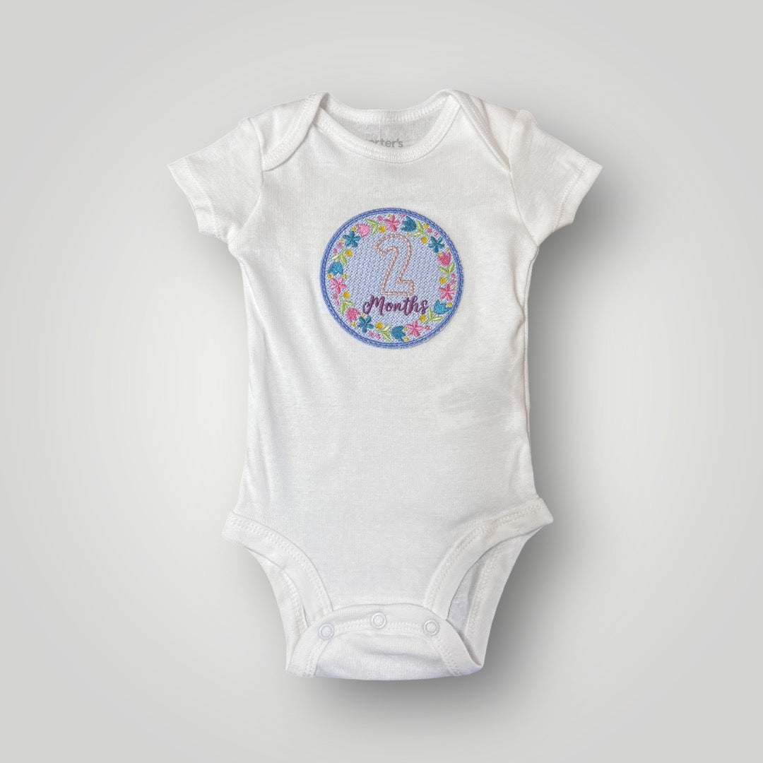 Embroidered Baby Monthly Milestones Onesies