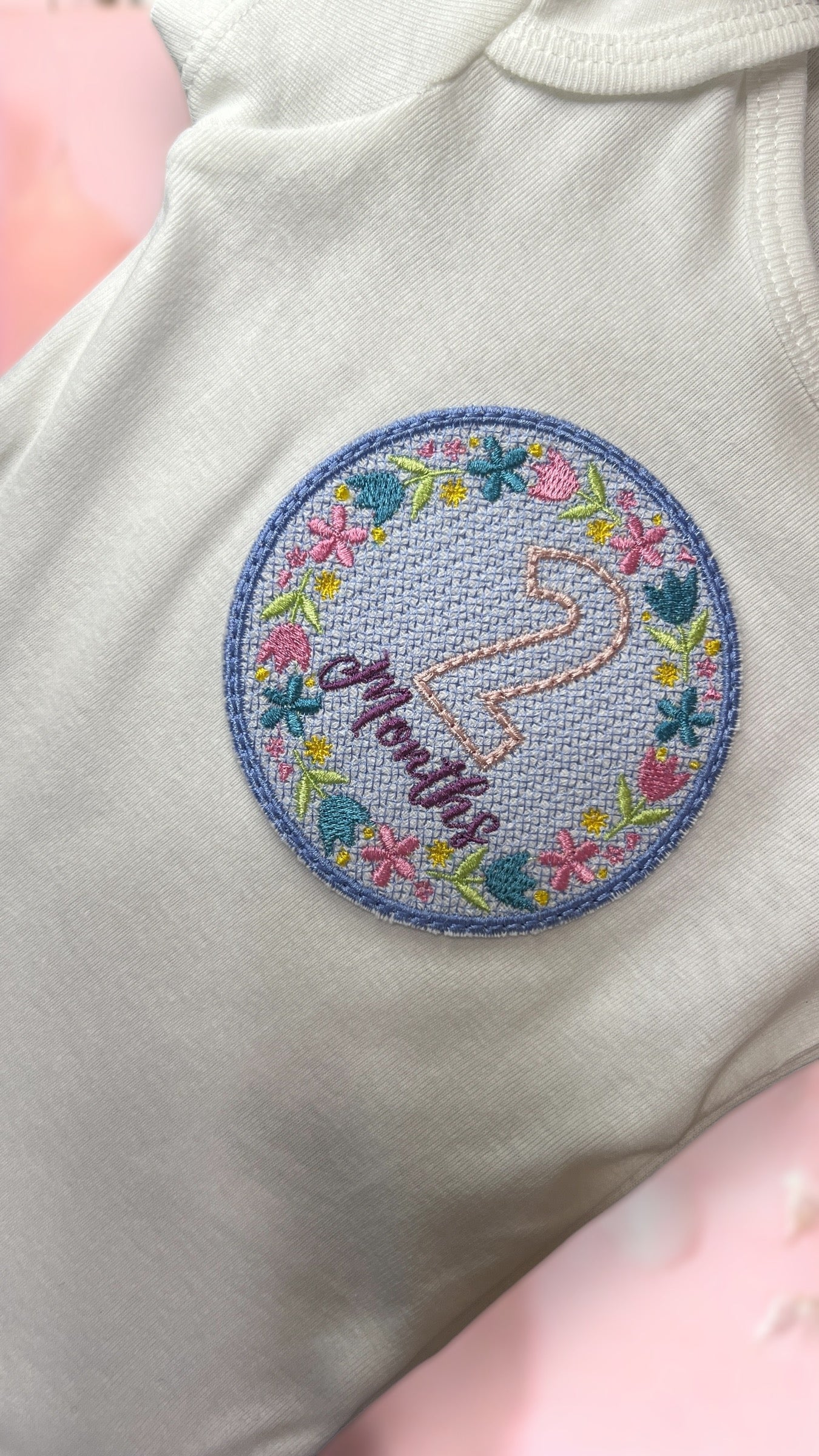 Embroidered Baby Monthly Milestones Onesies